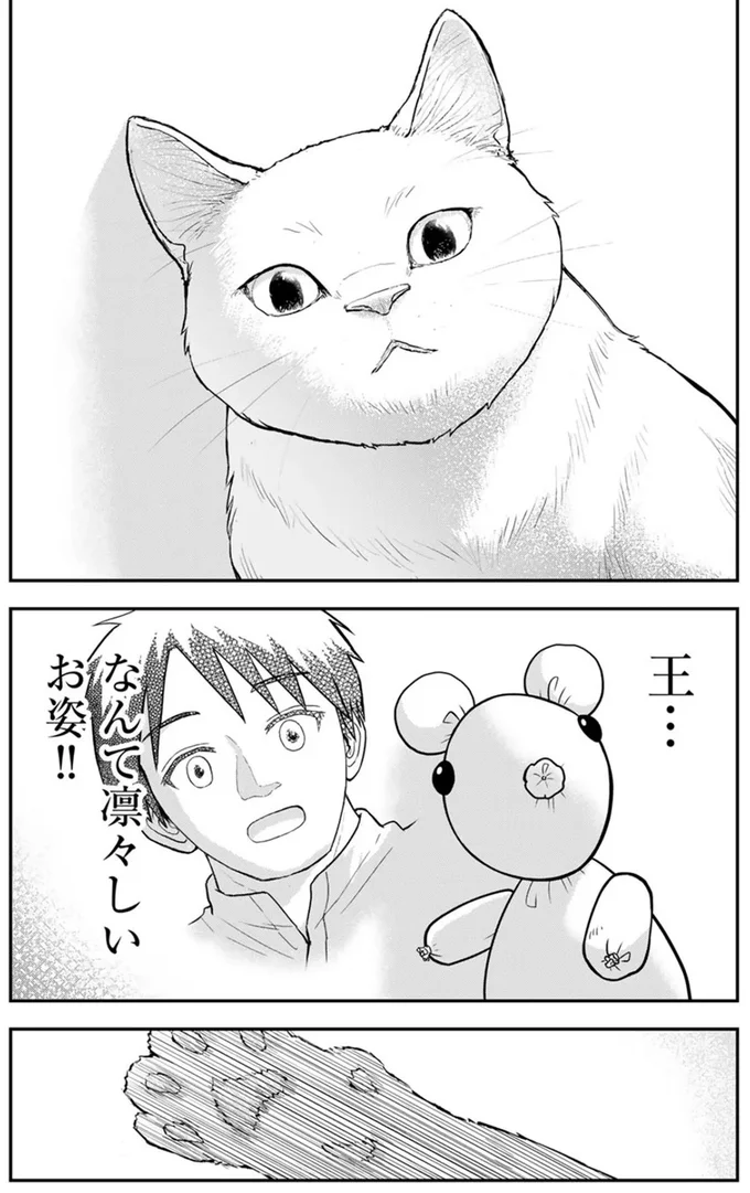 『王が猫になった』より
