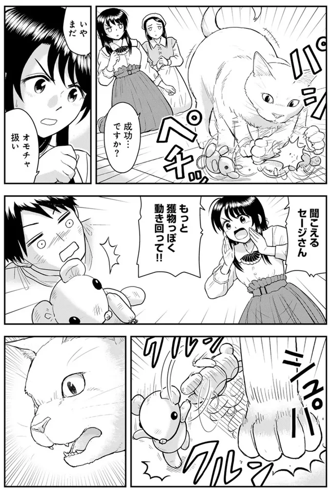 『王が猫になった』より