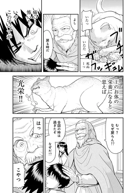 『王が猫になった』より