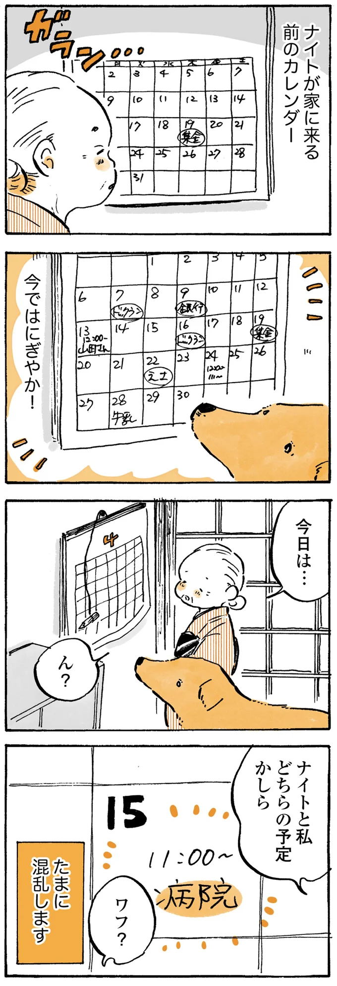 どちらの予定かしら