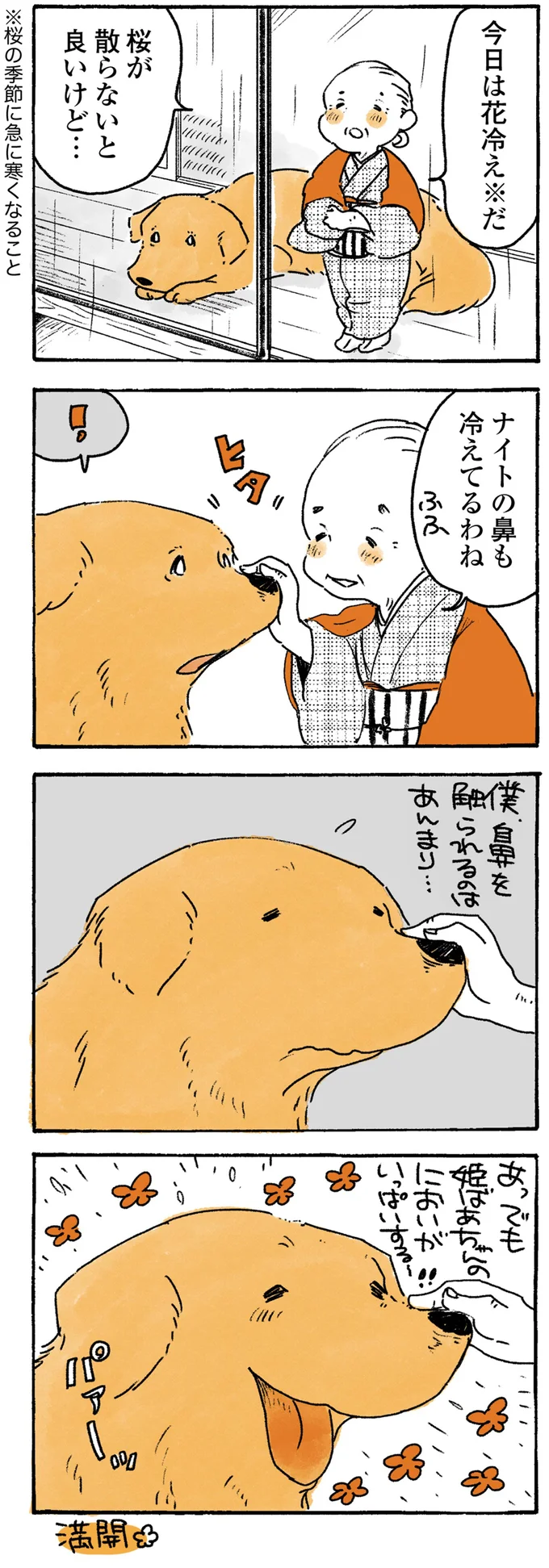 桜が散らないと良いけど…