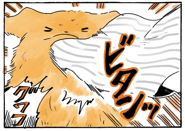 着物の袂が顔に直撃！強風の中を散歩するおばあちゃんとレトリバー