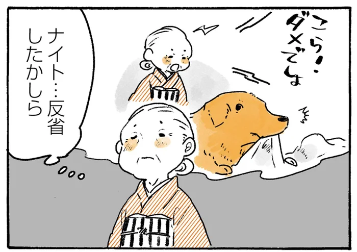 イタズラをしたレトリバーにおばあちゃんが注意「反省したかしら…」