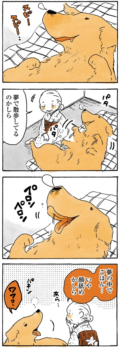 夢で散歩してるのかしら