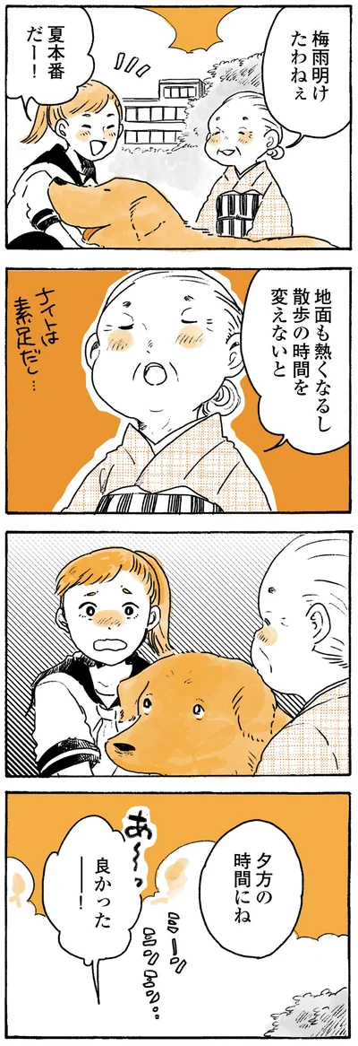 散歩の時間を変えないと