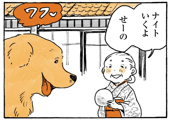 子どもたち大はしゃぎ！ボール遊びで空を飛ぶ？レトリバー