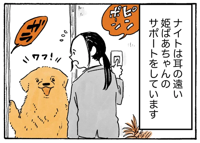 夏はうっかりしがち？耳の遠いおばあちゃんをサポートするレトリバー