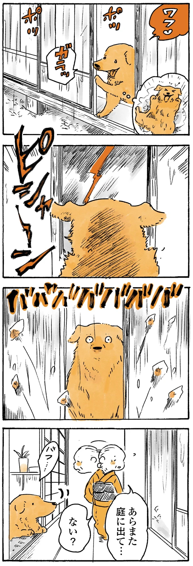 庭に出て…ない?