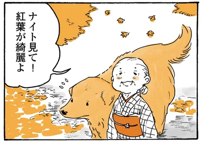 ナイト見て！紅葉が綺麗よ