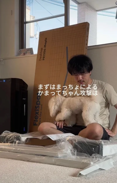 「パパ遊んでよ〜」▶無視された結果…（⇒次へ）