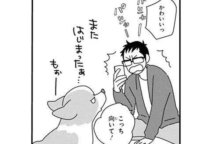 今日もうちの子がかわいい！定期にやってくる犬飼いの発作