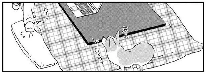 飼い主が席を立つと？その場所を必ず陣取るうちのワンコ