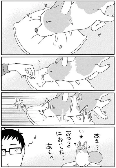 あえ？いま　おやつのにおいした…あえ！？