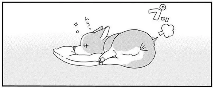 だれかいるの？何の音？自分のオナラにびっくりしちゃった愛犬