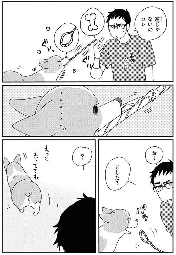 逆じゃないの　コレ