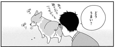 もっとちょうだい！キリがない、ワンコのおやつ催促