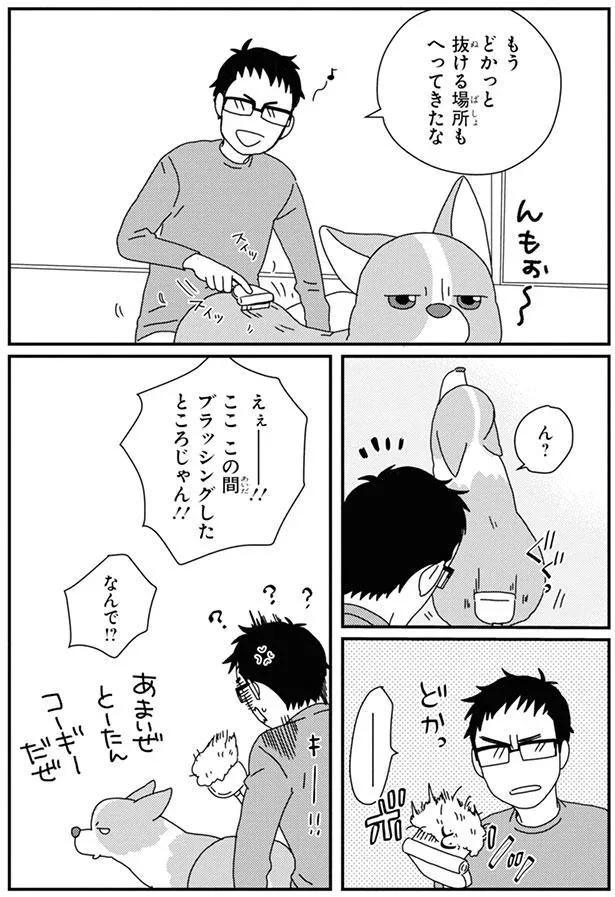 ここ　この間ブラッシングしたところじゃん！！