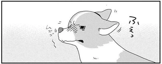 ワンコの鼻がムズムズ！思いっきりくしゃみしたら大惨事に！
