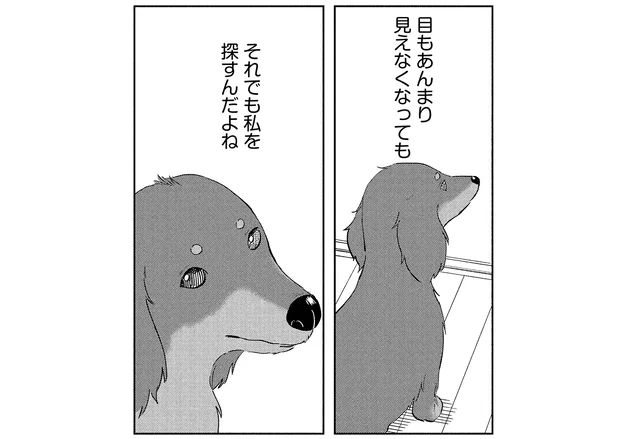 目が見えなくなっても、耳が聞こえなくなっても。常に飼い主を探してくれる愛犬／アルへ（2）