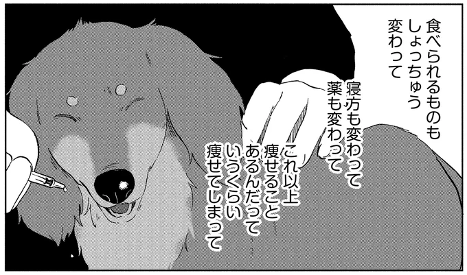 寝方も変わって薬も変わって