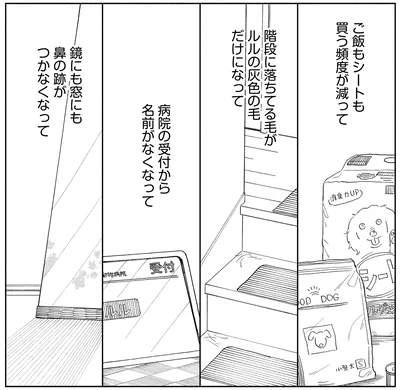 鏡にも窓にも…