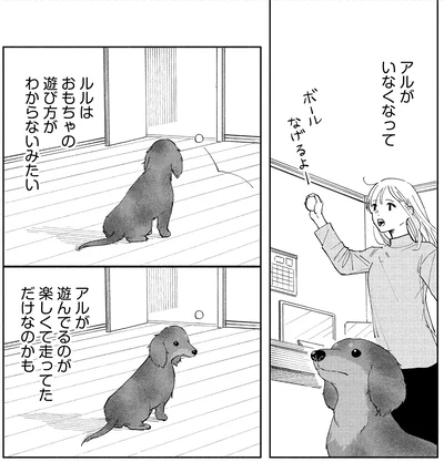 愛犬がいなくなって…