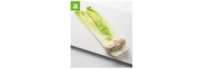 白菜の葉を広げ、手前に豆腐入りのたねをのせて巻く