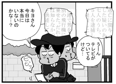 今日は本当にいないのかな…？
