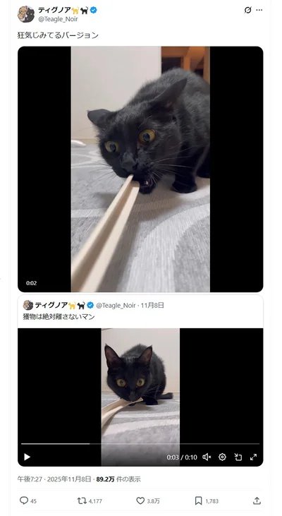 引っ張るお顔は…▶離さないぞという強い意志…（⇒次へ）