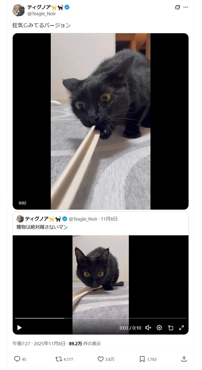 引っ張るお顔は…▶離さないぞという強い意志…（⇒次へ）