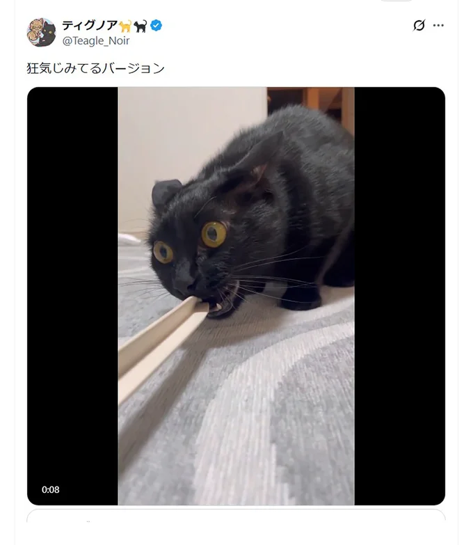 顔の圧も強い…▶もっとよく見せて…（⇒次へ）