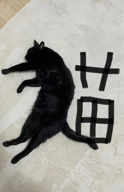 猫!!▶けものへんが作られていく工程（⇒次へ）
