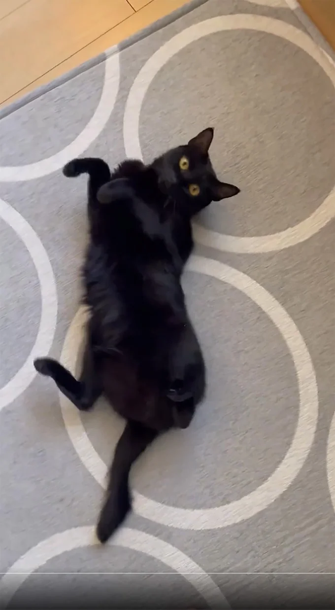 まずはポジションを確認▶次は…？（⇒次へ）