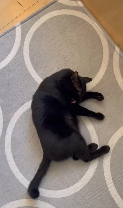 形を決めて…▶からの…（⇒次へ）