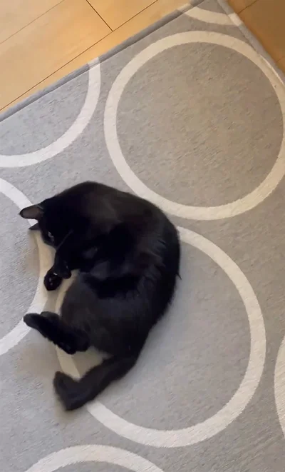 体勢を変えて…▶そして遂に…（⇒次へ）