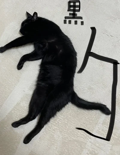 これもアリ？黒豹バージョン▶二度と撮れない写真？（⇒次へ）