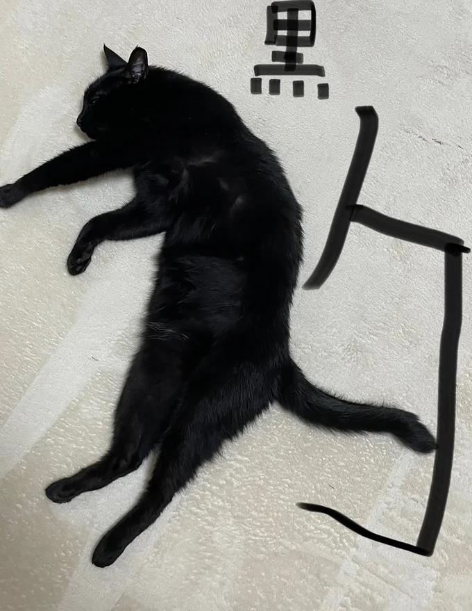 これもアリ？黒豹バージョン▶二度と撮れない写真？（⇒次へ）