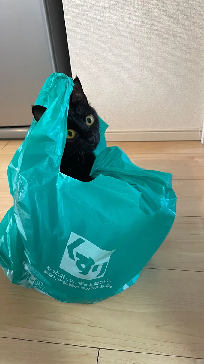 メンタルに効く特効薬！▶ぴっとり…（⇒次へ）