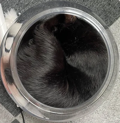 これは何でしょう？▶お目目がパッチリ！（⇒次へ）