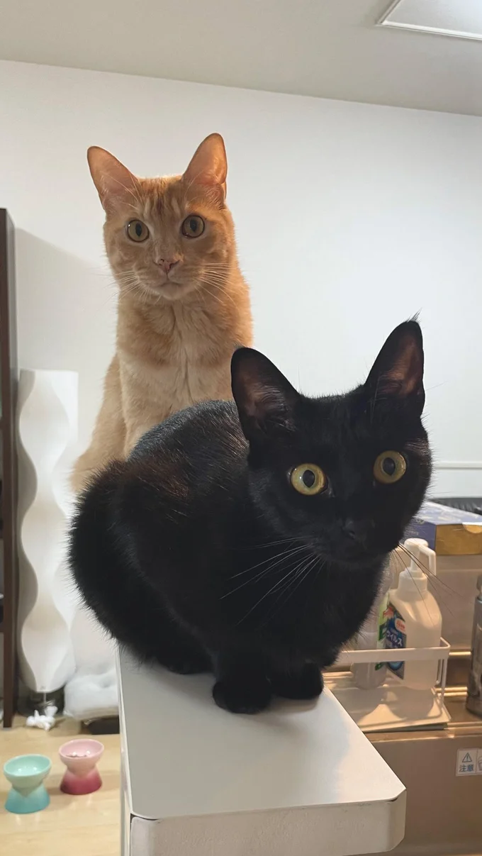 カメラ目線のふたり▶モデルっぽい（⇒次へ）