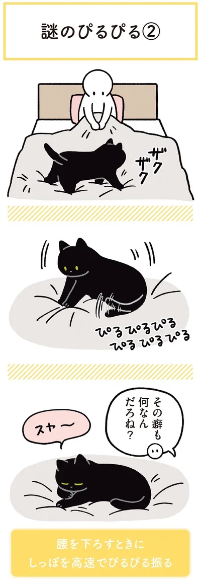 『黒猫ろんと暮らしたら3』より