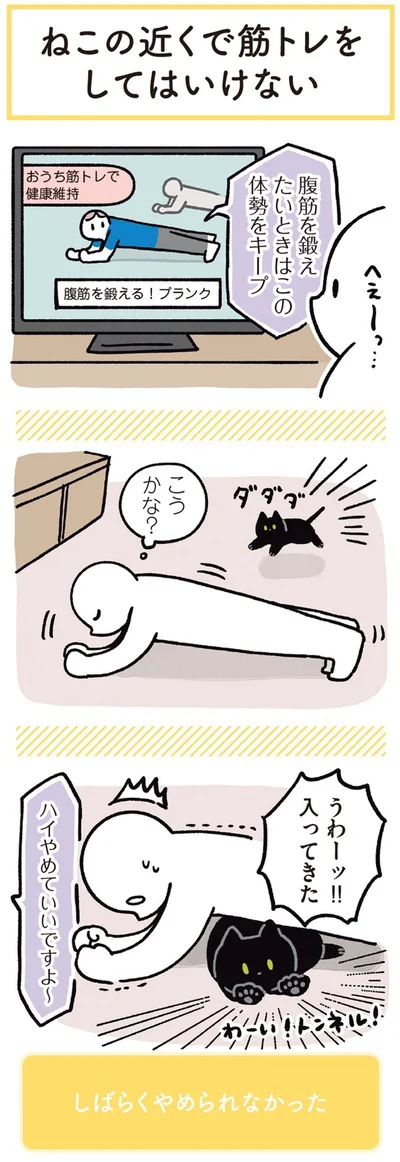 『黒猫ろんと暮らしたら3』より