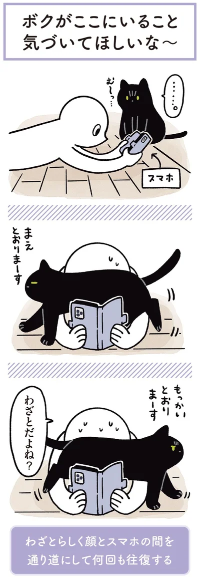 『黒猫ろんと暮らしたら3』より
