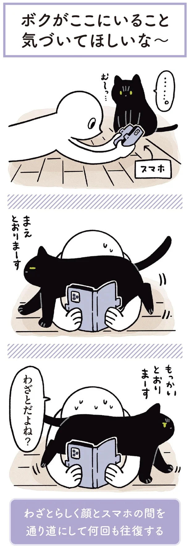 『黒猫ろんと暮らしたら3』より