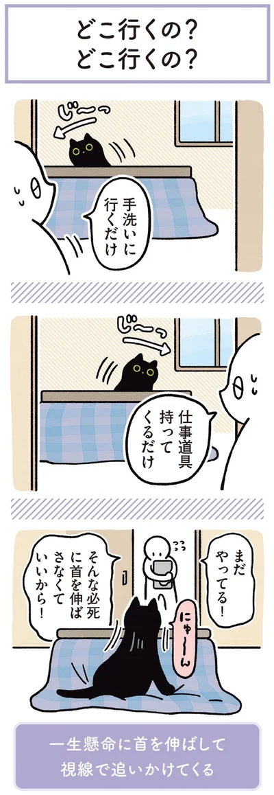 『黒猫ろんと暮らしたら3』より
