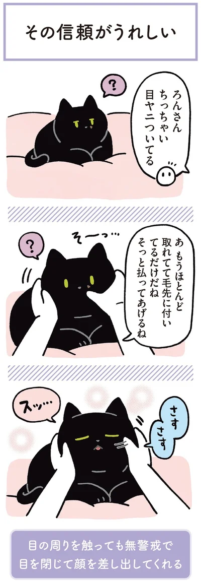 『黒猫ろんと暮らしたら3』より