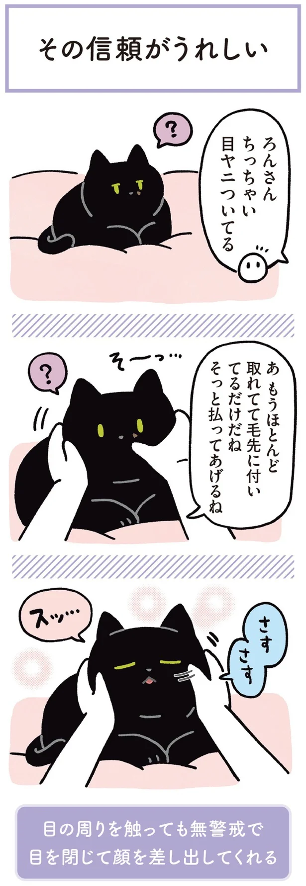 『黒猫ろんと暮らしたら3』より