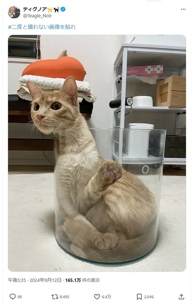 容器から顔だけ出した結果このような写真が撮れました▶異変を感じる…？（⇒次へ）