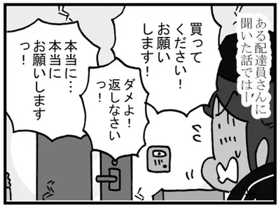 買ってください！お願いします！