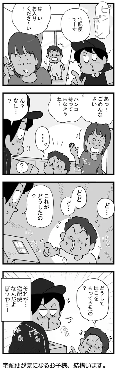 どうしてはこをもってきたの？